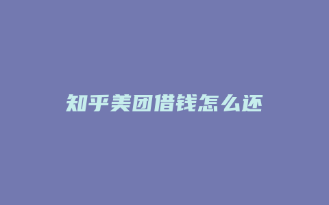 知乎美团借钱怎么还