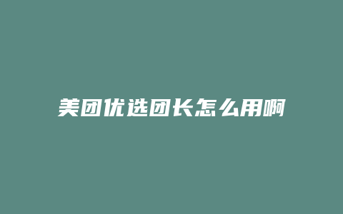 美团优选团长怎么用啊