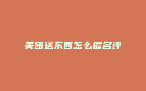 美团送东西怎么匿名评价