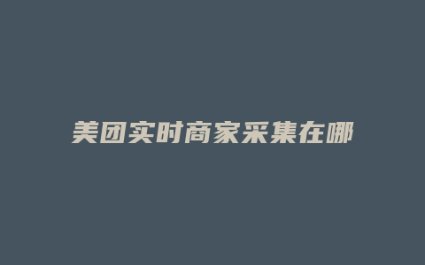 美团实时商家采集在哪里