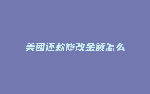 美团还款修改金额怎么修改