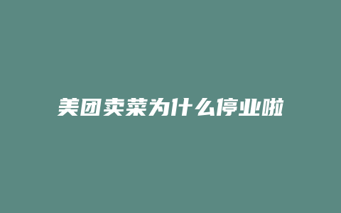 美团卖菜为什么停业啦