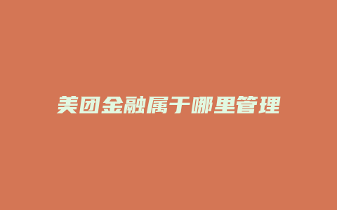 美团金融属于哪里管理