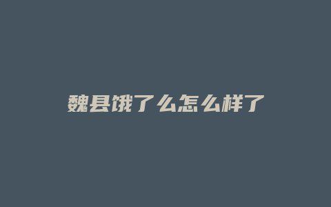 魏县饿了么怎么样了