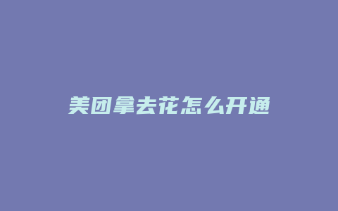 美团拿去花怎么开通