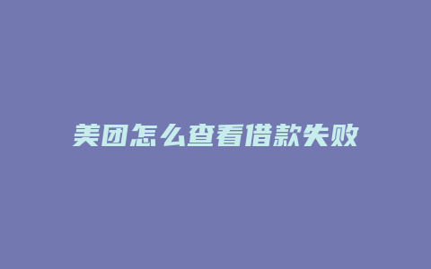 美团怎么查看借款失败