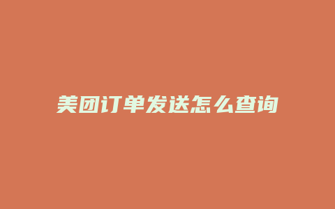 美团订单发送怎么查询