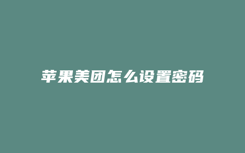 苹果美团怎么设置密码
