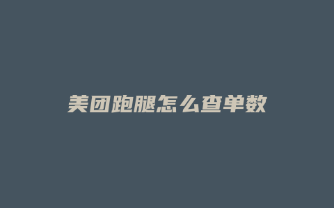 美团跑腿怎么查单数