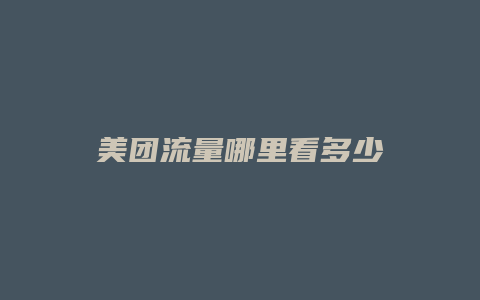 美团流量哪里看多少