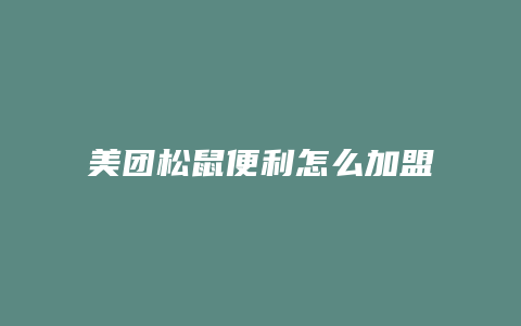 美团松鼠便利怎么加盟