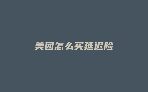 美团怎么买延迟险