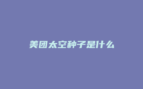 美团太空种子是什么