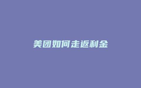 美团如何走返利金