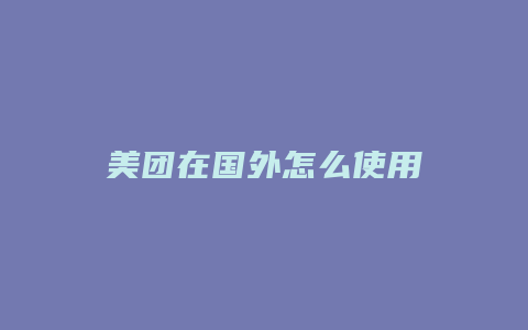 美团在国外怎么使用