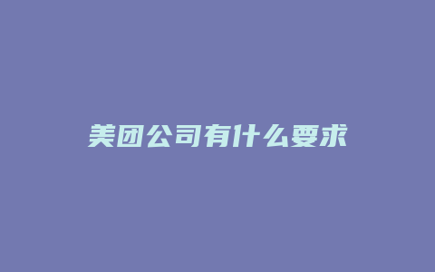 美团公司有什么要求