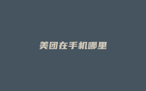 美团在手机哪里