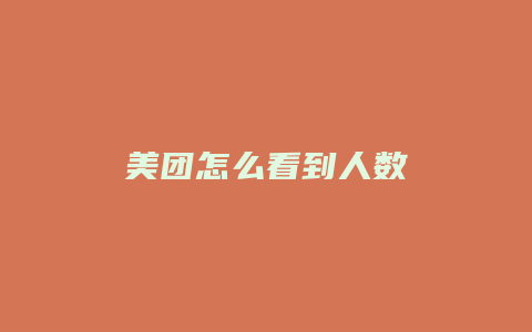 美团怎么看到人数