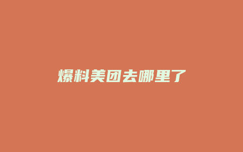 爆料美团去哪里了