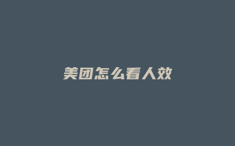 美团怎么看人效