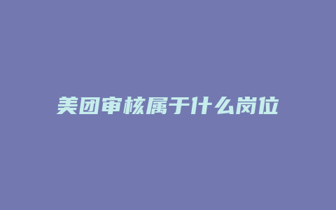 美团审核属于什么岗位