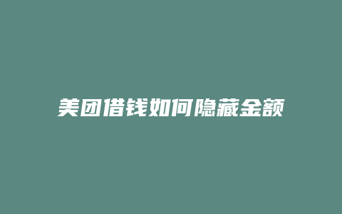 美团借钱如何隐藏金额