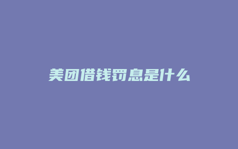 美团借钱罚息是什么