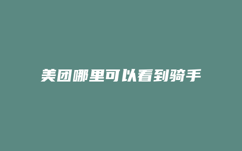 美团哪里可以看到骑手