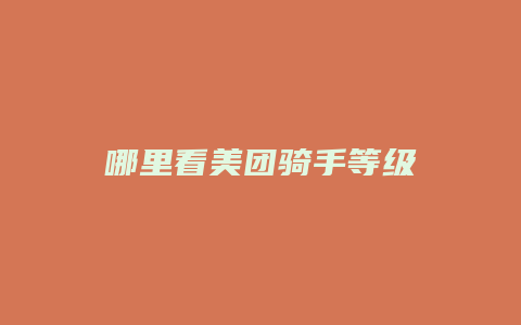 哪里看美团骑手等级
